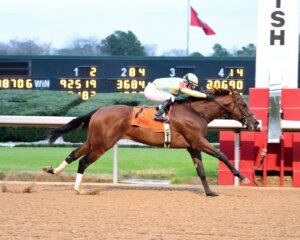 Strategic Risk wins the Smarty Jones at Oaklawn Park.