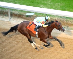 Strategic Risk wins the Smarty Jones at Oaklawn Park.