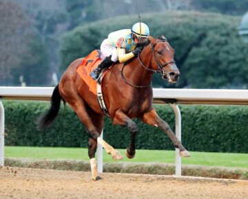 Strategic Risk wins the Smarty Jones at Oaklawn Park.
