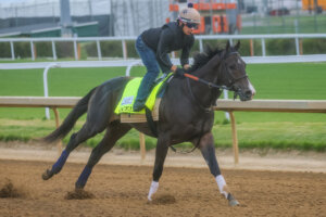 Ocelli trains for the Kentucky Derby 2026 (Photo by Horsephotos.com/Rickelle Nelson)