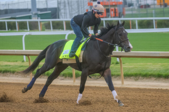 Ocelli trains for the Kentucky Derby 2026 (Photo by Horsephotos.com/Rickelle Nelson)