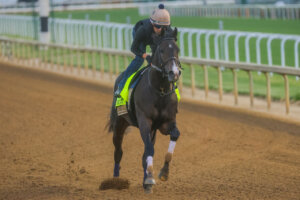 Ocelli trains for the Kentucky Derby 2026 (Photo by Horsephotos.com/Rickelle Nelson)