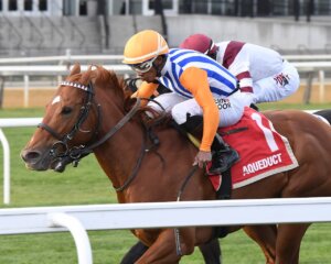 Attfield wins the Central Park Stakes.