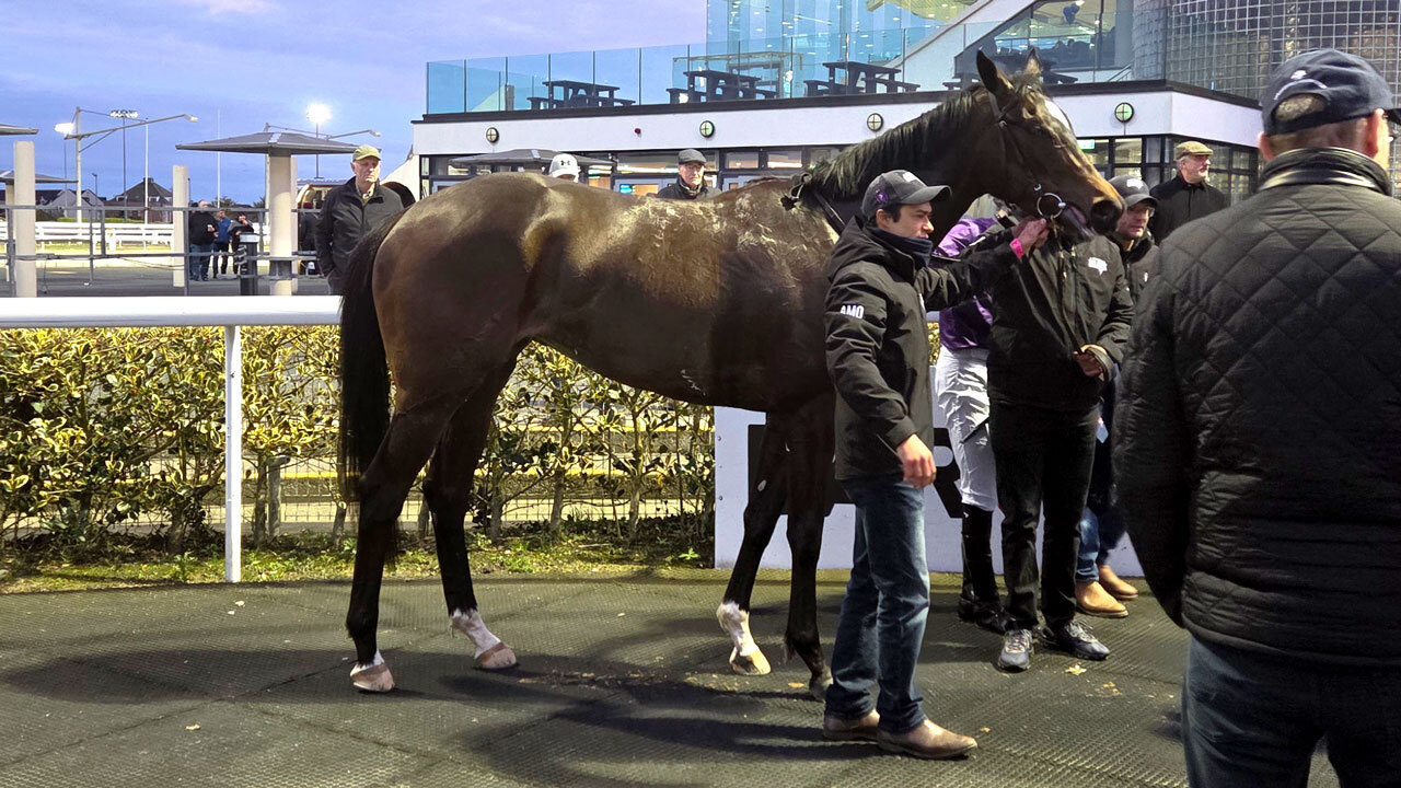 Kentucky-bred filly Blanc de Blanc beat the boys in the Patton