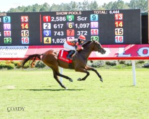 Colt Forty Seven wins at Horseshoe Indiana. 