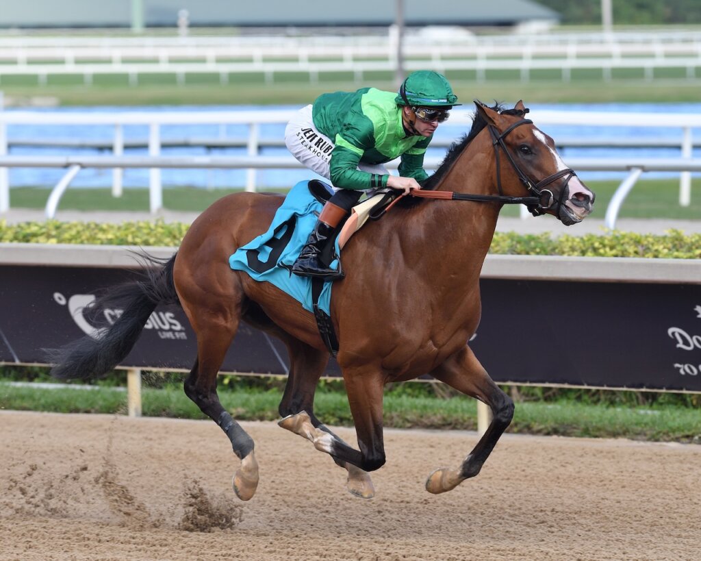 Canaletto wins at Santa Anita.