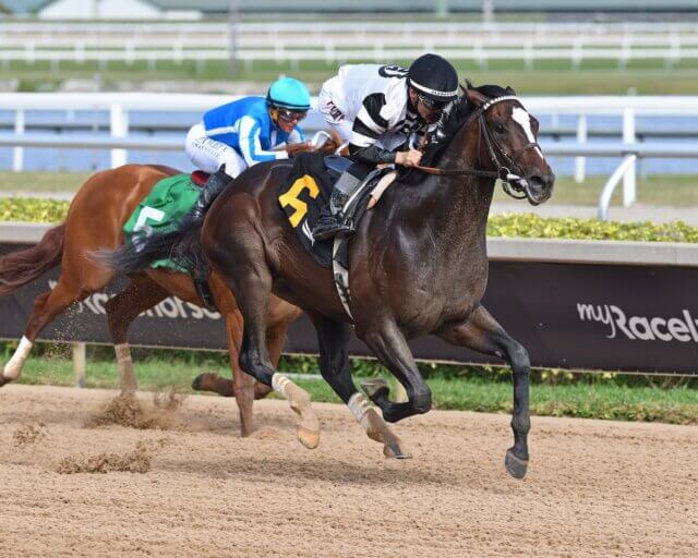Chief Wallabee (Photo by Coglianese Photos)