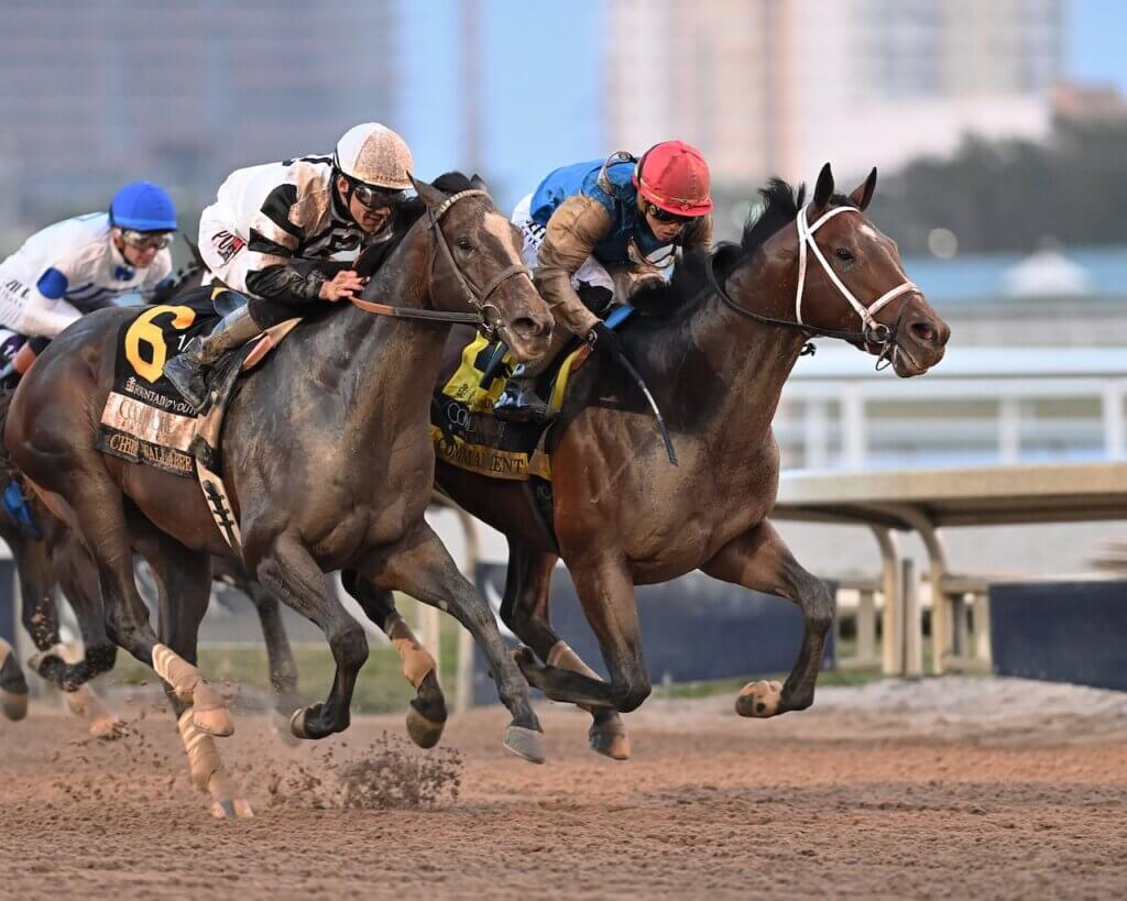 Commandment wins the Fountain of Youth at Gulfstream Park.