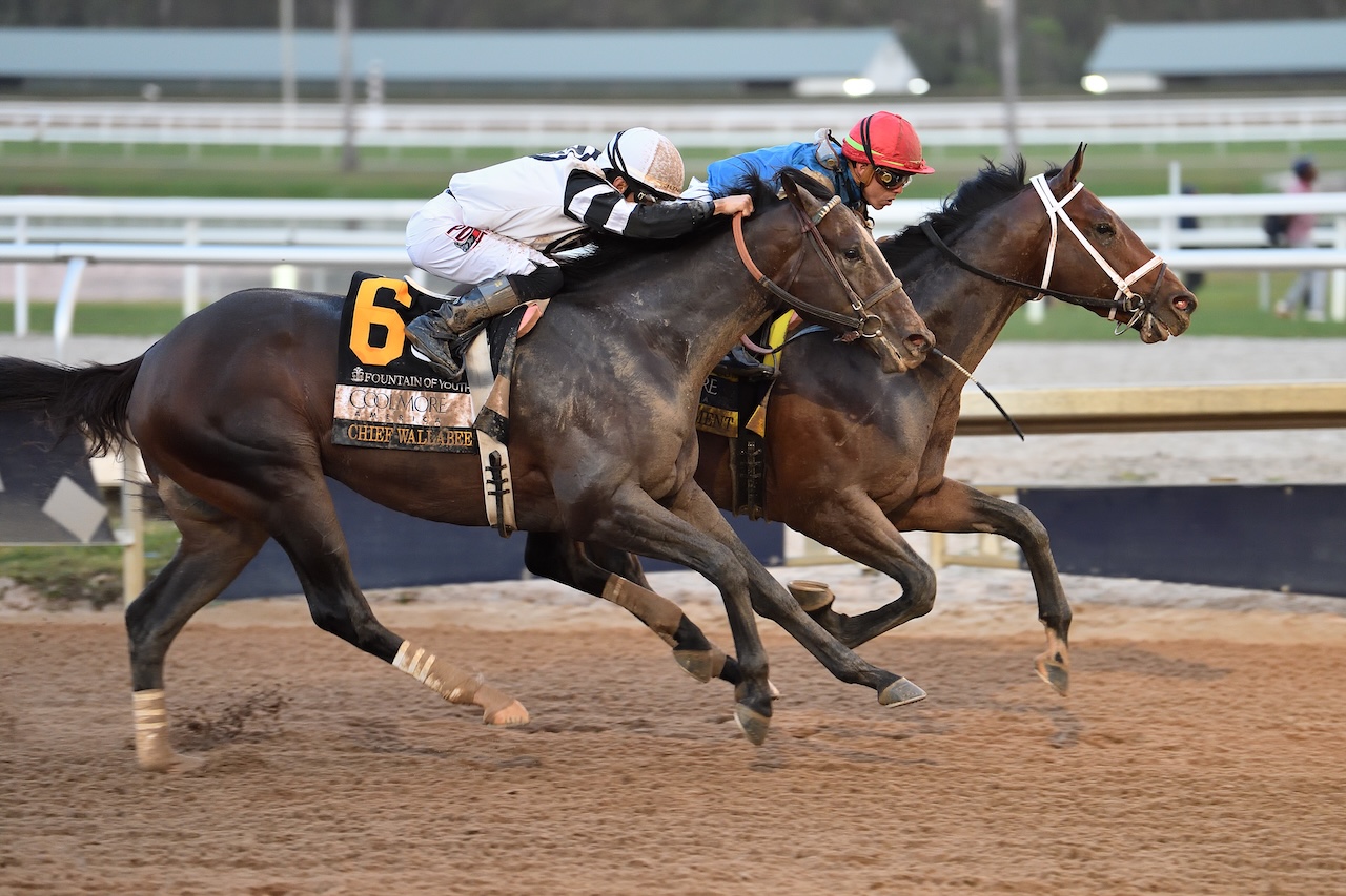 Commandment wins the Fountain of Youth at Gulfstream Park.