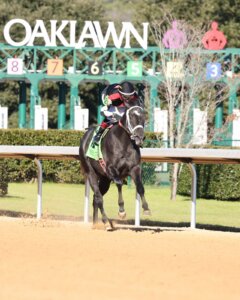 D' Code wins at Oaklawn Park.