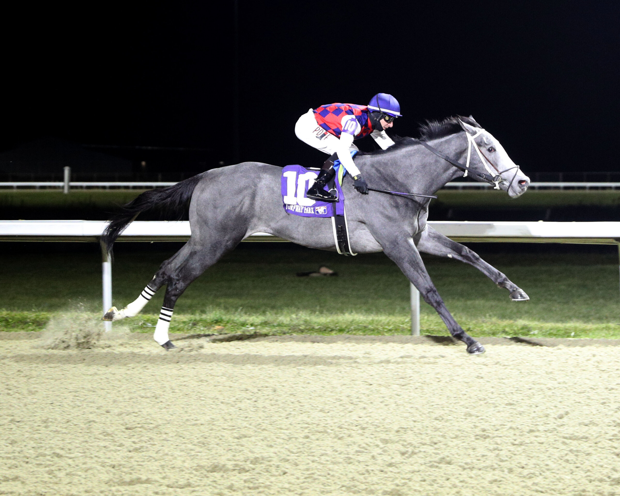 Great White | Horses | Kentucky Derby