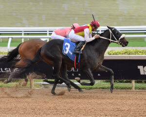 Global Aviator wins at Gulfstream Park.