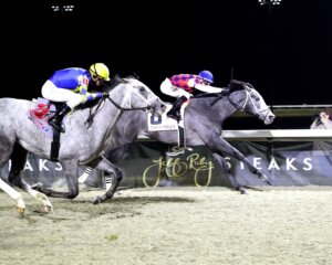 Great White holds off Fulleffort in the John Battaglia Memorial