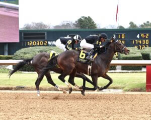 Honey's to Blame wins at Oaklawn Park. 