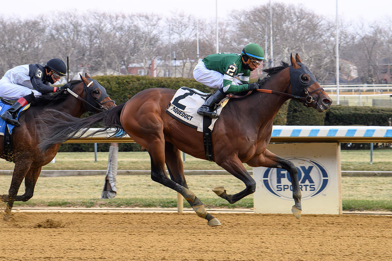 Iron Honor winning his debut at Aqueduct