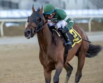Iron Honor wins the Gotham Stakes at Aqueduct.