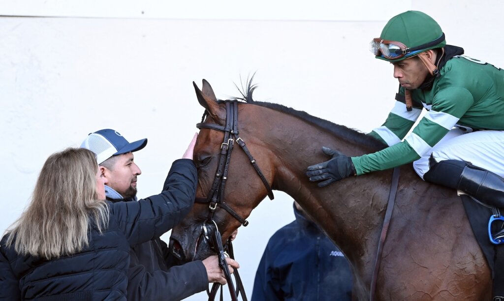 Iron Honor wins the Gotham Stakes at Aqueduct.