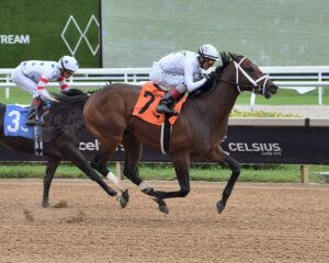 Jackson Hole wins at Gulfstream Park.