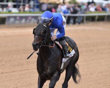 Knightsbridge wins the Gulfstream Park Mile at Gulfstream Park.