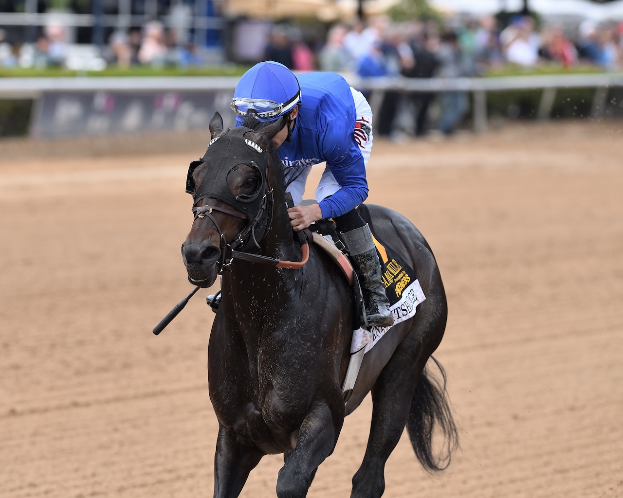 Knightsbridge wins the Gulfstream Park Mile at Gulfstream Park.