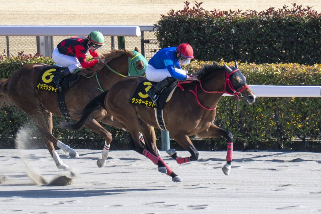Lucky Kid wins the Hyacinth S. at Tokyo