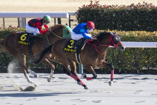 Lucky Kid wins the Hyacinth S. at Tokyo