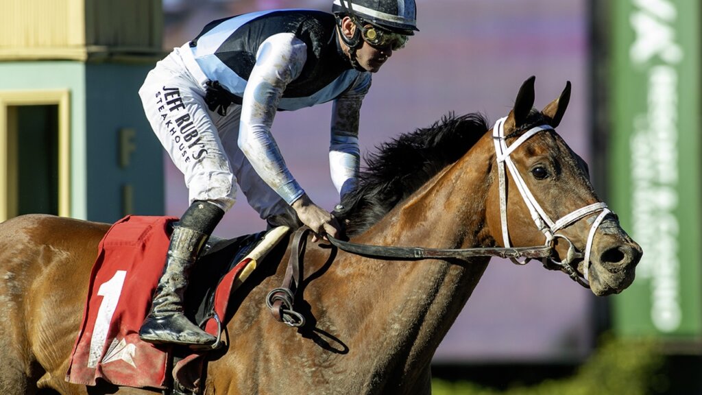 Meaning wins the Las Virgenes at Santa Anita