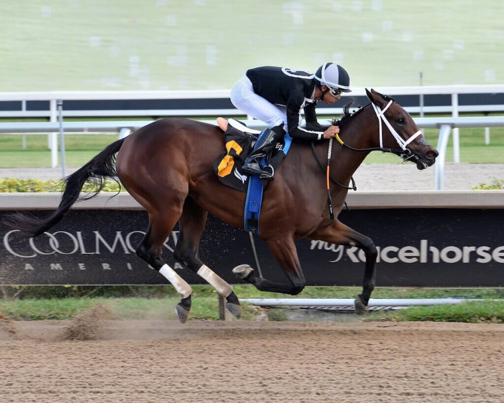 My Miss Mo wins at Gulfstream Park.