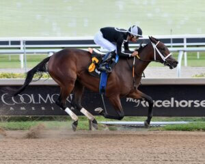 My Miss Mo wins at Gulfstream Park.