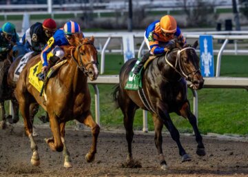 Paladin wins the Risen Star Stakes at Fair Grounds.