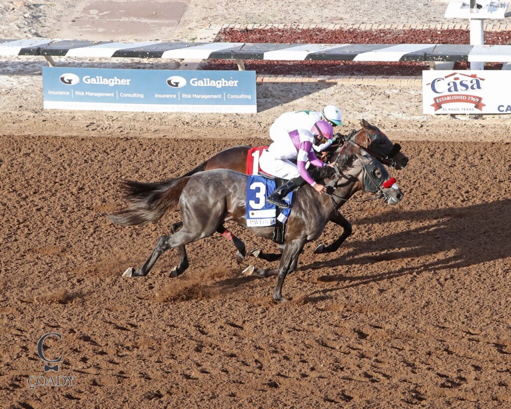 Pavlovian and Express Kid match strides to the wire in the Sunland Park Derby