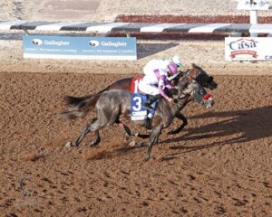 Pavlovian and Express Kid match strides to the wire in the Sunland Park Derby