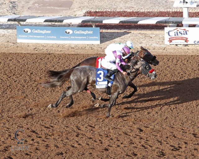 Pavlovian and Express Kid match strides to the wire in the Sunland Park Derby