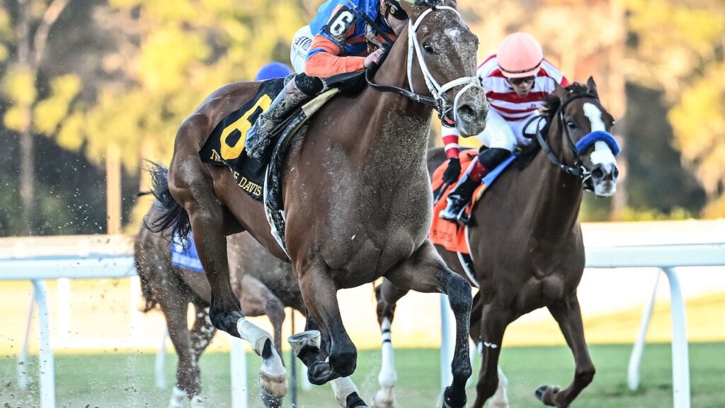 Renegade wins the Sam F. Davis Stakes at Tampa Bay Downs.