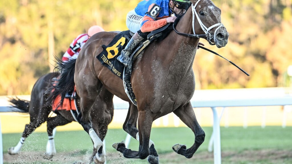 Renegade wins the Sam F. Davis Stakes at Tampa Bay Downs.
