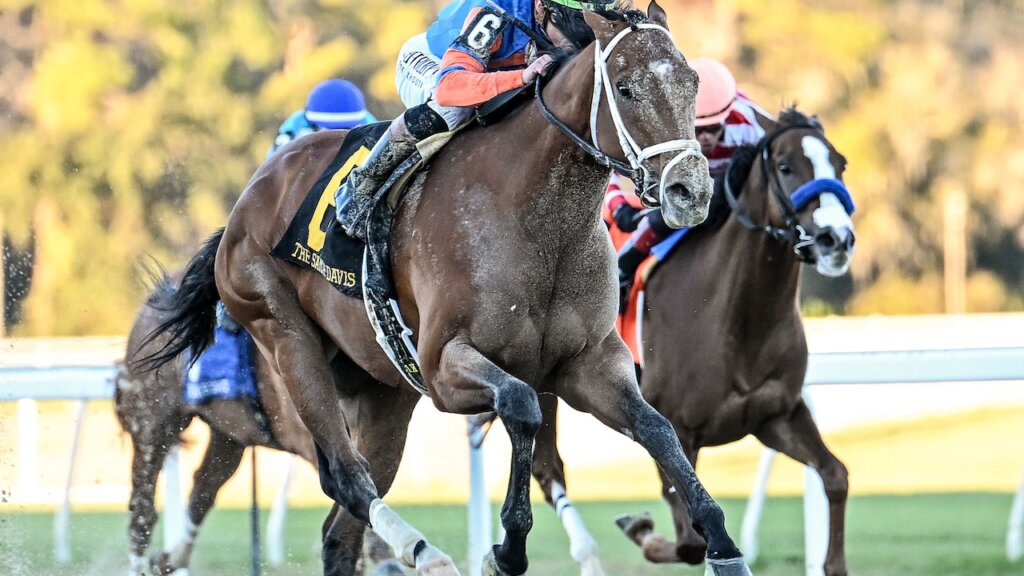 Renegade wins the Sam F. Davis Stakes at Tampa Bay Downs.