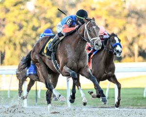 Renegade wins the Sam F. Davis Stakes at Tampa Bay Downs.