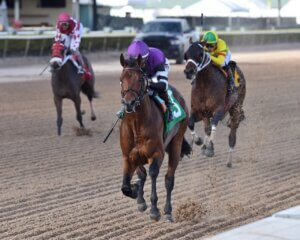 Rockies Balboa wins at Gulfstream Park.