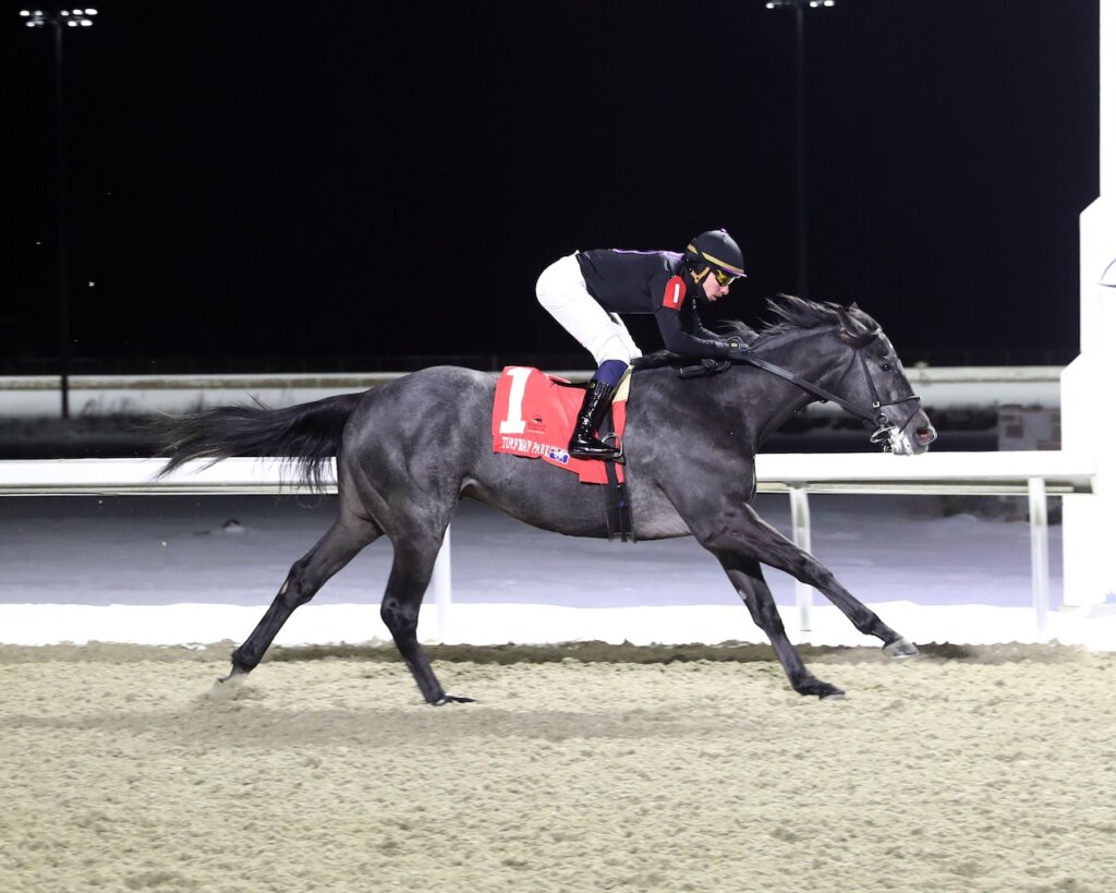Steel Imperium wins at Turfway Park.