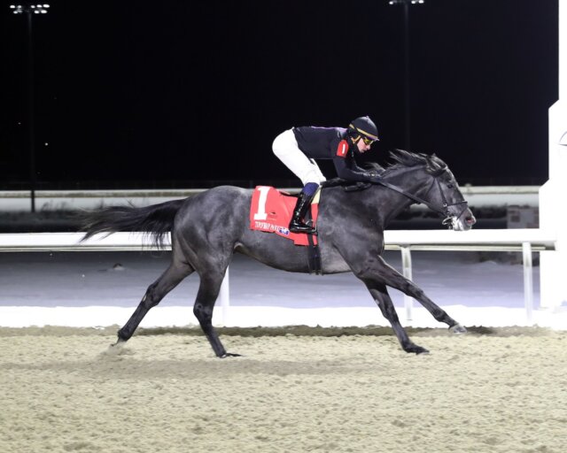Steel Imperium wins at Turfway Park.