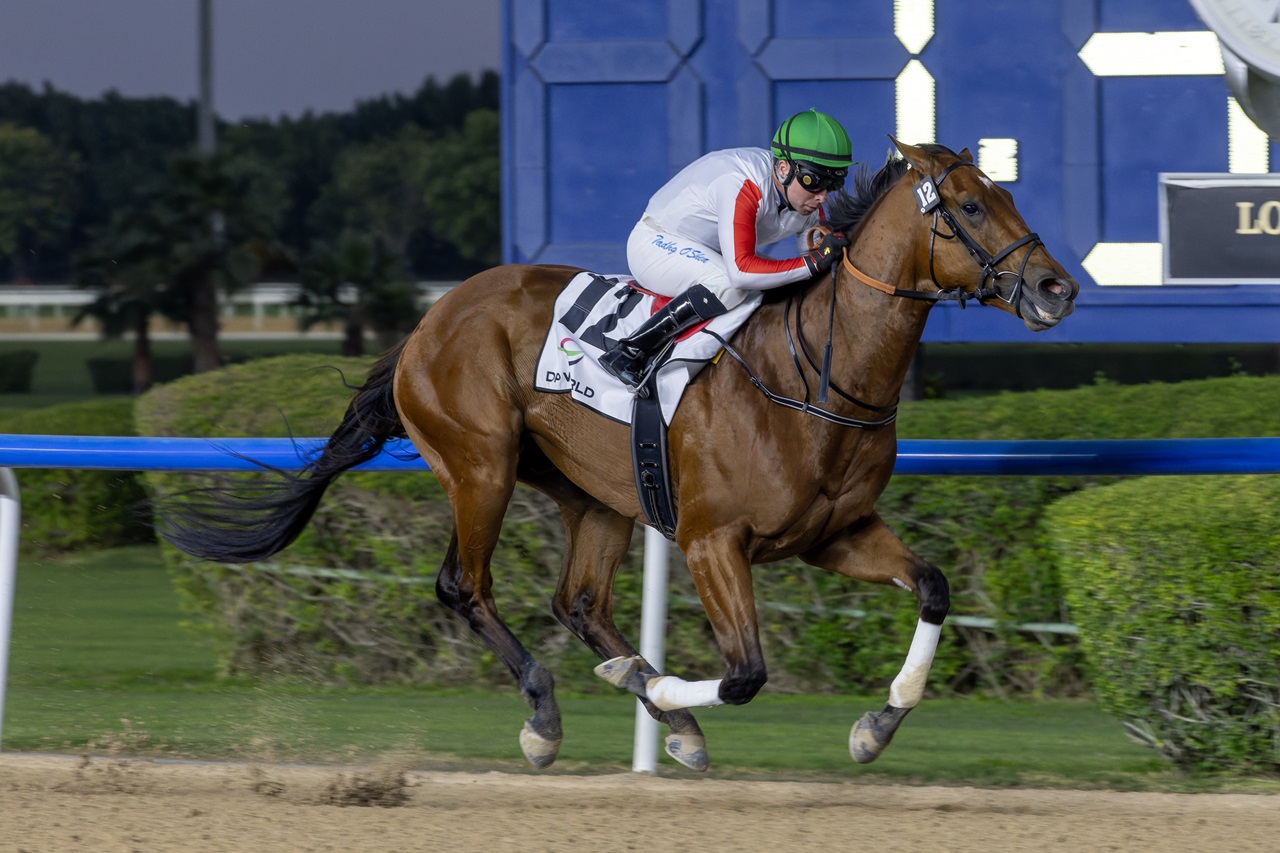 Salloom romps in his unveiling at Meydan