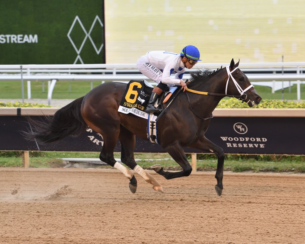 Solitude Dude wins the Swale Stakes at Gulfstream Park.