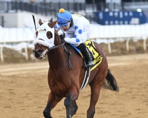 Talk to Me Jimmy wins the Withers Stakes at Aqueduct.