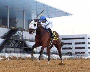 Talk to Me Jimmy wins the Withers Stakes at Aqueduct.