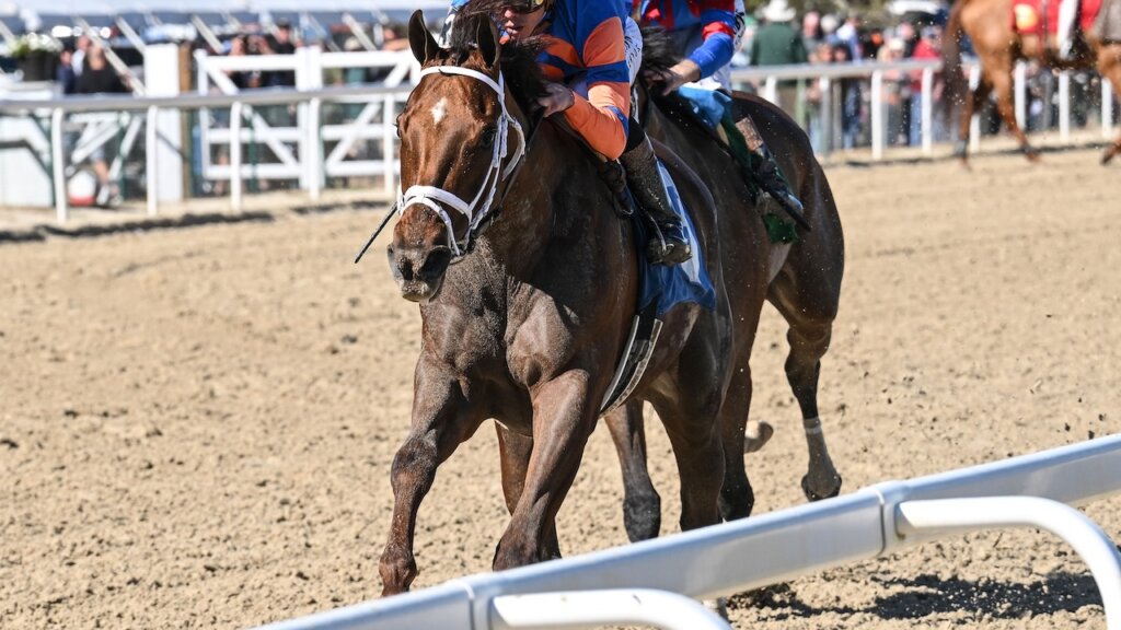 Zany wins the Suncoast at Tampa Bay Downs.