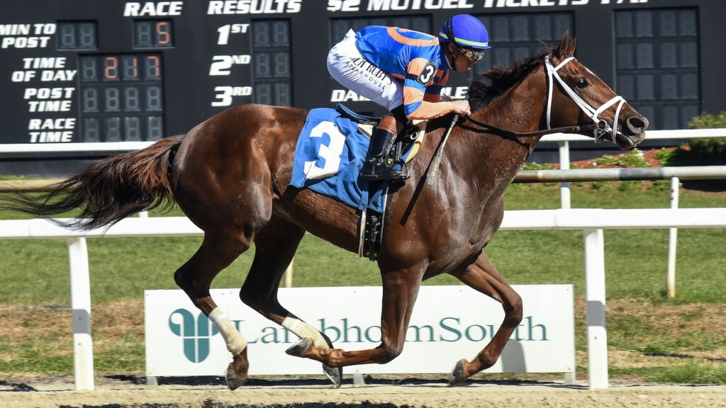 Zany wins the Suncoast at Tampa Bay Downs.