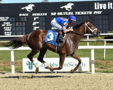 Zany wins the Suncoast at Tampa Bay Downs.