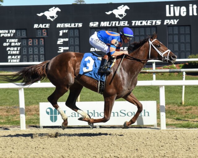 Zany wins the Suncoast at Tampa Bay Downs.