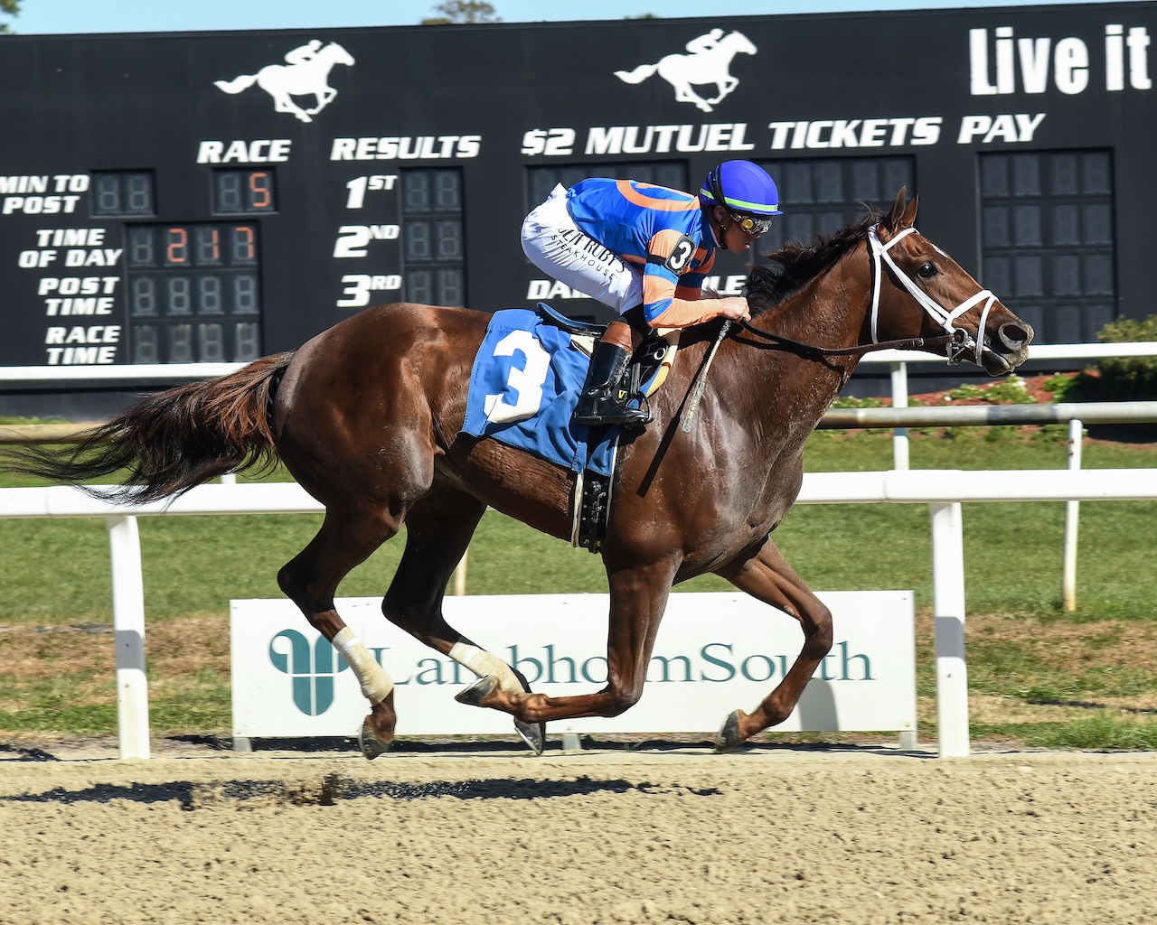 Zany wins the Suncoast at Tampa Bay Downs.