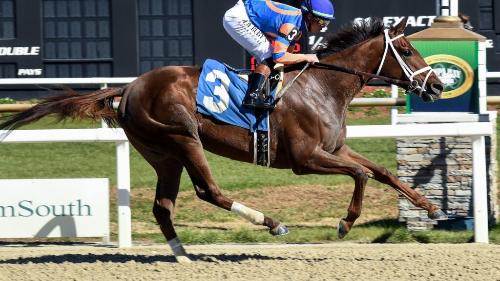 Zany wins the Suncoast at Tampa Bay Downs.